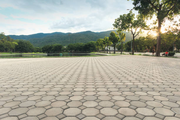 Best Driveway Paver Repair  in Highland, AR
